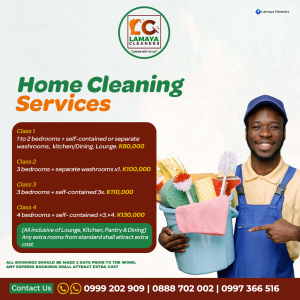 Home Cleaning – Class 2